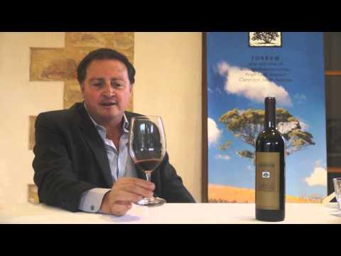 Joe Grilli tastes the 1998 JOSEPH Moda