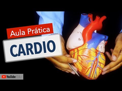 Anatomy of the Heart: Practical Class with Wedson Vilanova | Anatomy and etc.