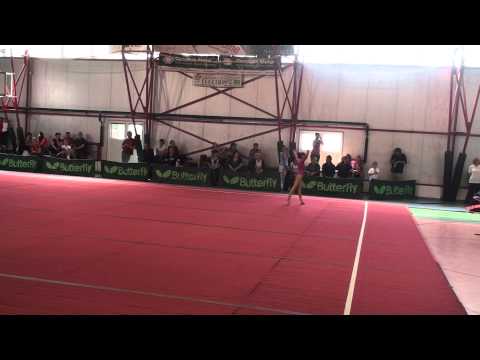 Ariana Flueras - CSS Viitorul Cluj - FX - Nationale J III (N2)