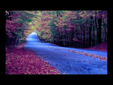 lover concern up 1 karaoke