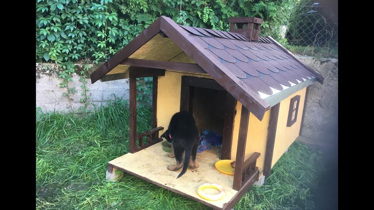 Buda dla dużego psa, z tarasem i karmnikiem dla ptaków.