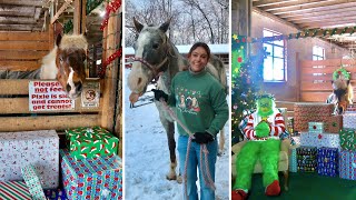 CHRISTMAS AT MY STABLES VLOG || Photos with the Grinch, Snow Day Ride + GoPro POV
