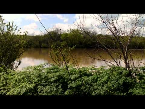 Inundații în Mozacu jud arges.