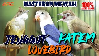 MASTERAN KOMBINASI KAPAS TEMBAK - LOVEBIRD -  JENGGOT | KOLABORASI MEWAH
