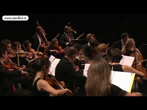 Renaud & Gautier Capuçon - Death and the Maiden - Version for orchestra