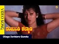 Olage Seridare Gundu Video Song Nanjundi Kalyana Movie Songs AghavendraRajkumar Vega Music