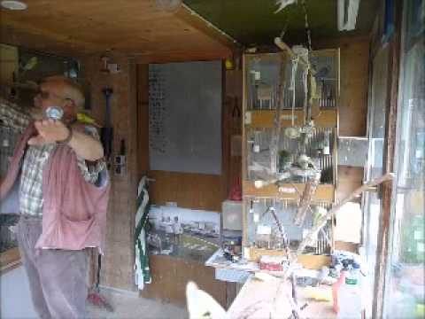 2013 06 24 Der Wellifluestererfilm des Tages Teil 1v2