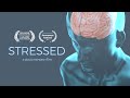 Stressed - A Documentary Film | 4K OFFICIAL