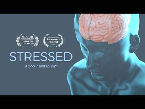 Stressed - A Documentary Film | 4K OFFICIAL