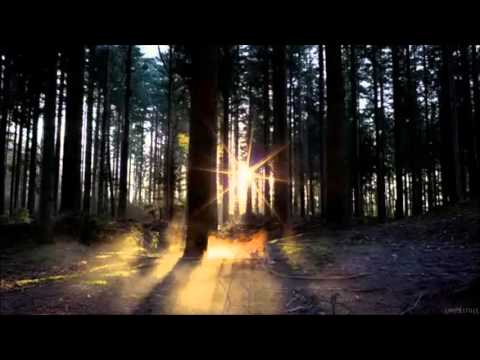 Trentemøller  - Miss You (Lulu Rouge Feat. Asger Baden,NEUS,Pascalr,Tuky.g Mashup)