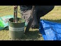 Planting A Tree Family Plot