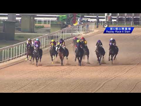 2022-01-28 Macau Meeting Race 6(0134) - THE MUNICH