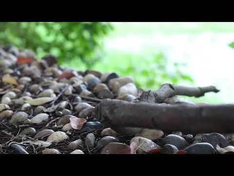 Canon EOS 700d captured video