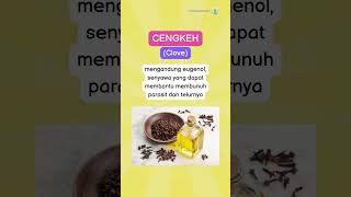 Download lagu 5 Obat Alami untuk Parasit mp3 Download lagu 5 Obat Alami untuk Parasit mp3