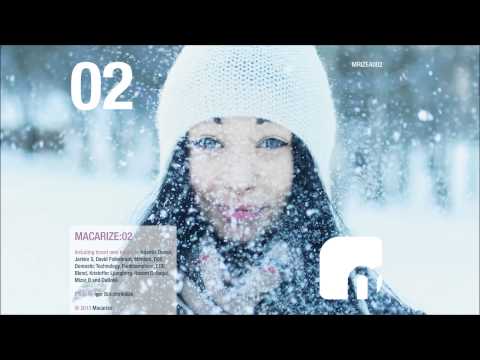 Domestic Technology - Sunday Trip (Original Mix) [Macarize]