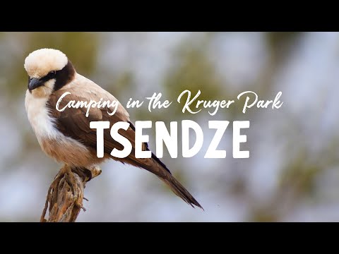 Camping in the Kruger Park with our Jimny - Tsendze Rustic Camp