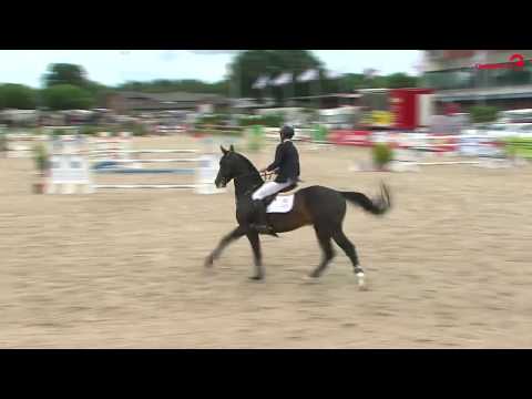 Quibery - Landeschampion der Siebenjährigen 2018
