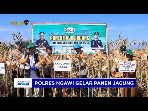 POLRES NGAWI LAKSANAKAN PANEN JAGUNG