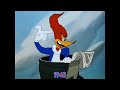 1 Second From Every Walter Lantz Cartune 1948