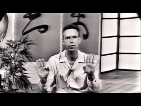 Don’t Force Life — Alan Watts on Wu Wei, Zen Gardens & Solitude