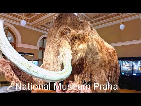 Museu Nacional de Praga-Janelas para a Pré-história Nova Exposição 12/2021-Národní Muzeum-Okna do Pravěku