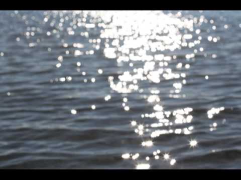 The Sea And The Gulls - Seagulls