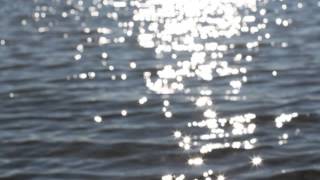 The Sea And The Gulls - Seagulls