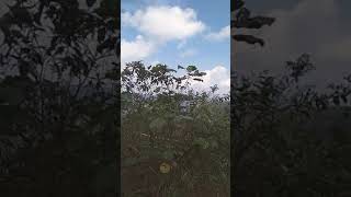 Download lagu pembuktian..medan terjal kp cipongpok,toblong,garut mp3 Download lagu pembuktian..medan terjal kp cipongpok,toblong,garut mp3