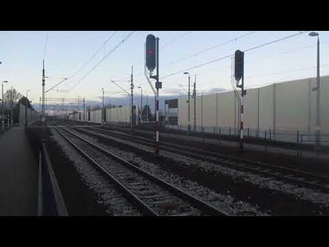 EP09-025 (EU: 150 030-1) z iC 8310 "MATEJKO" (ŚWiN.-PRZEM.GŁ.) - przelot przez ŚW.KAT. (RP1)