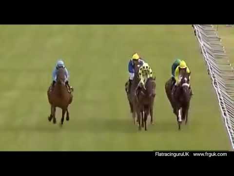 2018 #Greenpoint Stakes #Kenilworth