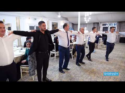 Dani Olan ❌ Colaj brâuri și ardelene 2023