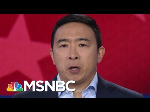 白人至上主義者の暴力問題についてのトゥルシ・ギャバード氏とアンドリュー・ヤン氏｜MSNBC (Tulsi Gabbard And Andrew Yang On The Issue Of White Supremacist Violence | MSNBC)