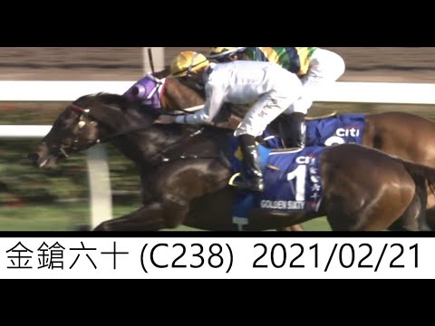 金鎗六十 (C238) 2021/02/21 GOLDEN 60