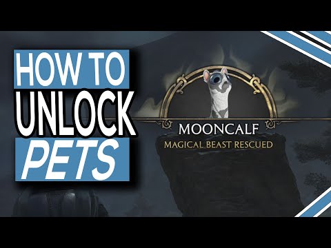 How To Unlock Pets (Magical Beasts) In Hogwarts Legacy (Unlock Nab Sac)