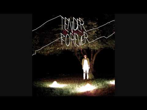 Only the Sound You Made - Tender Forever