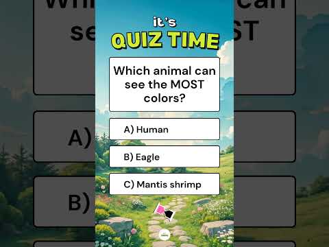 Which Animal Has Super Vision? 👁️ #quiz #animals #trivia