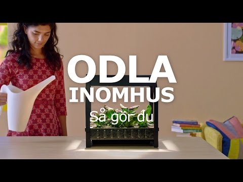 , title : 'ODLA INOMHUS – Så gör du'