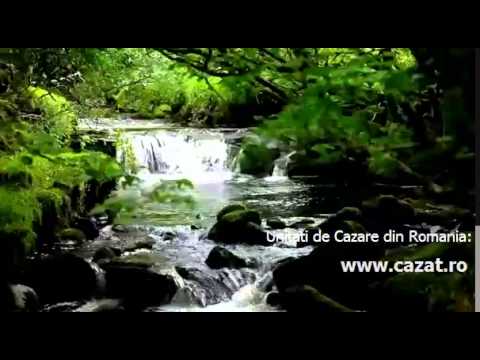 Cazare Prodanesti, Valcea - Cazat.ro