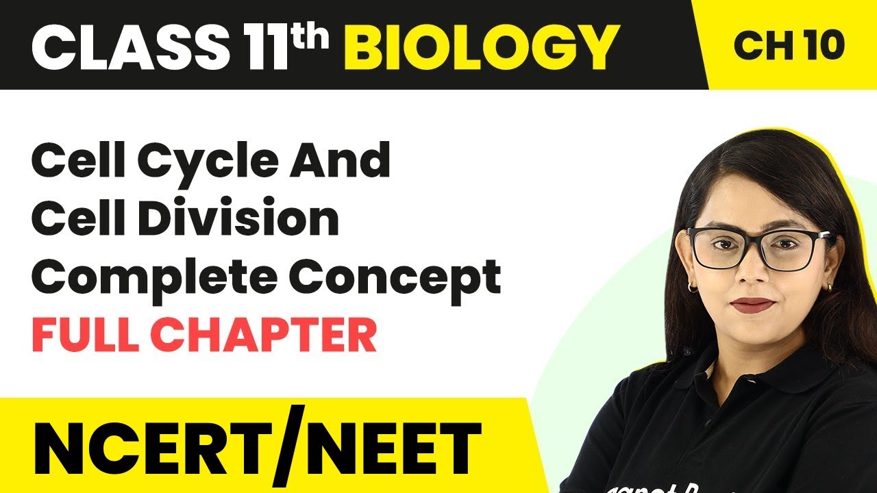 Cell Cycle & Cell Division - Full Chapter Explanation | Phases of Cell Cycle | Class 11 Biology