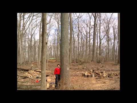 Learning a Skill that Could Kill You: Peter Muir at TEDxPhoenixville