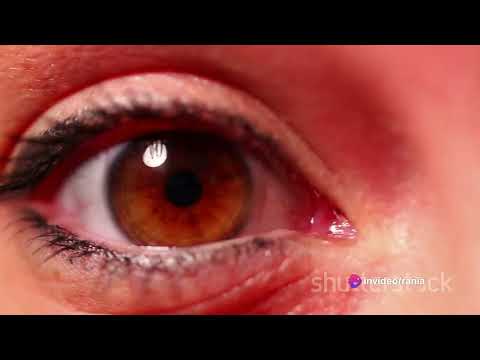 Blink and You'll Miss It The Incredible Journey of Sight