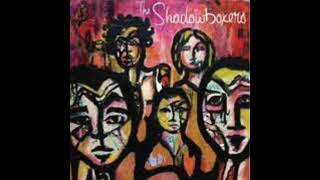 Losing Patience - The Shadowboxers