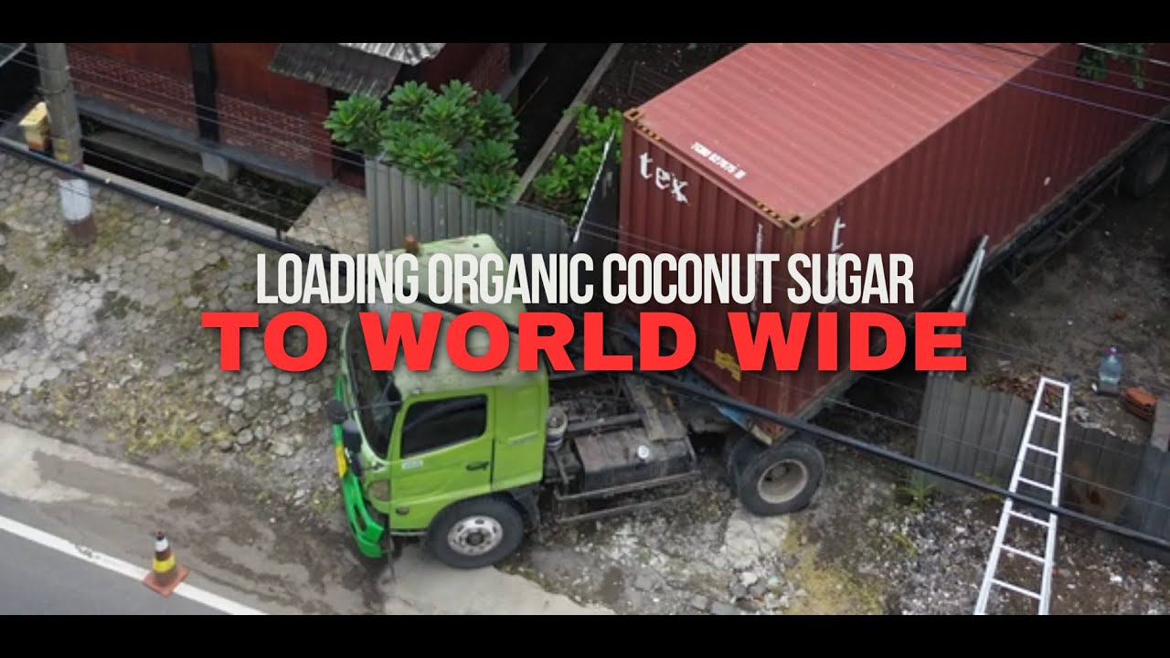 Organic Coconut Sugar Export From Indonesia