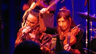 Jack Ass Ginger ~ Poi dog Pondering  07/13/2018