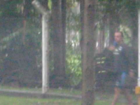 ENTRENAMIENTO EN CELULOSA