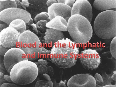 Medical Terminology Diagnostic and Therapeutic Procedures for the Lymphatic and Immune Systems