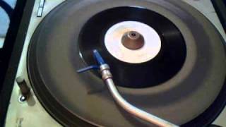 NINJAMAN   "hortical don"