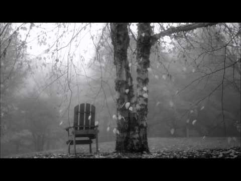 Tears For Esbjörn - IIRO RANTALA