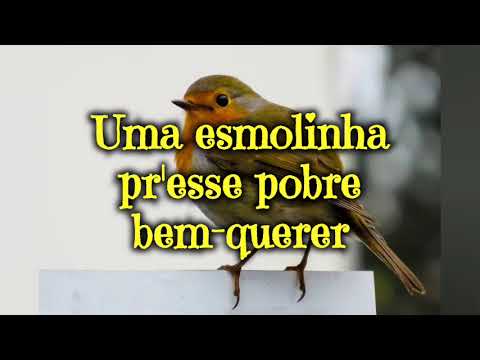 Tampa De Pedra - Santanna O Cantador