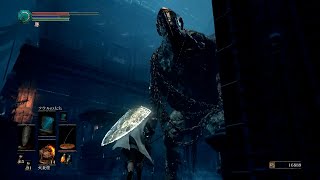 素直で温厚なゆかりさんのダークソウル３　PRT２０